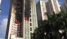 深圳最近爆料新闻,神秘事件引发社会热议